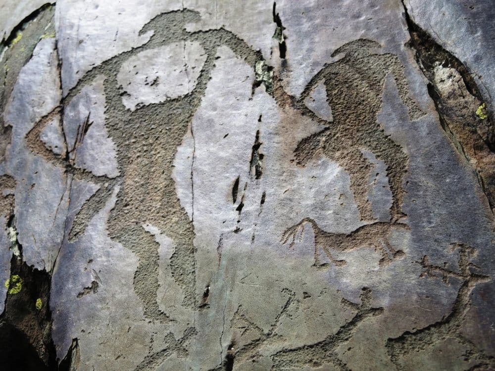 Петроглифы урочища Калбак-Таш (экскурсия для баз в районе с. Манжерок) - фото 3