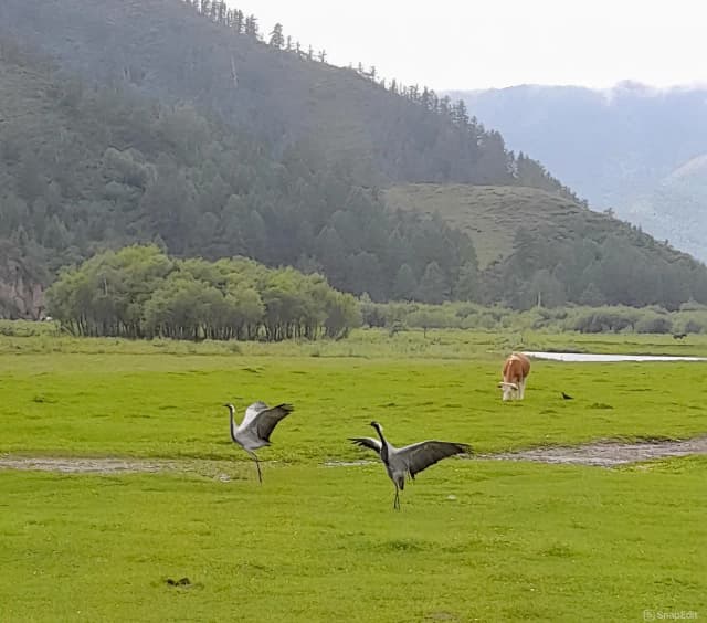 Эко-база Зеленый берег
