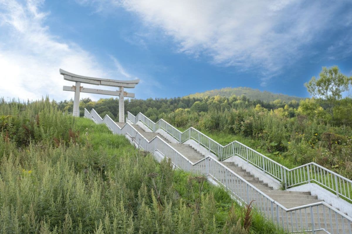 Экспедиция на Сахалин.Рыбалка мечты на Набильском заливе. - фото 9