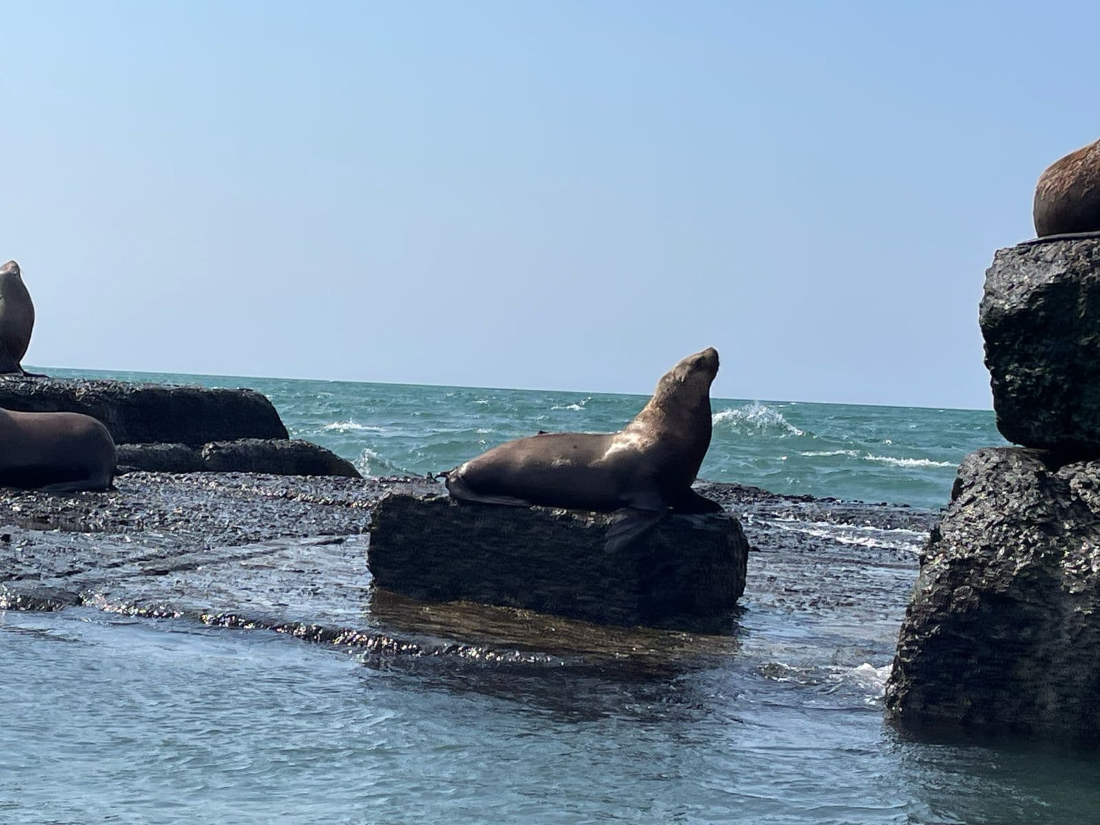 Юго-западное кольцо Сахалина - фото 10