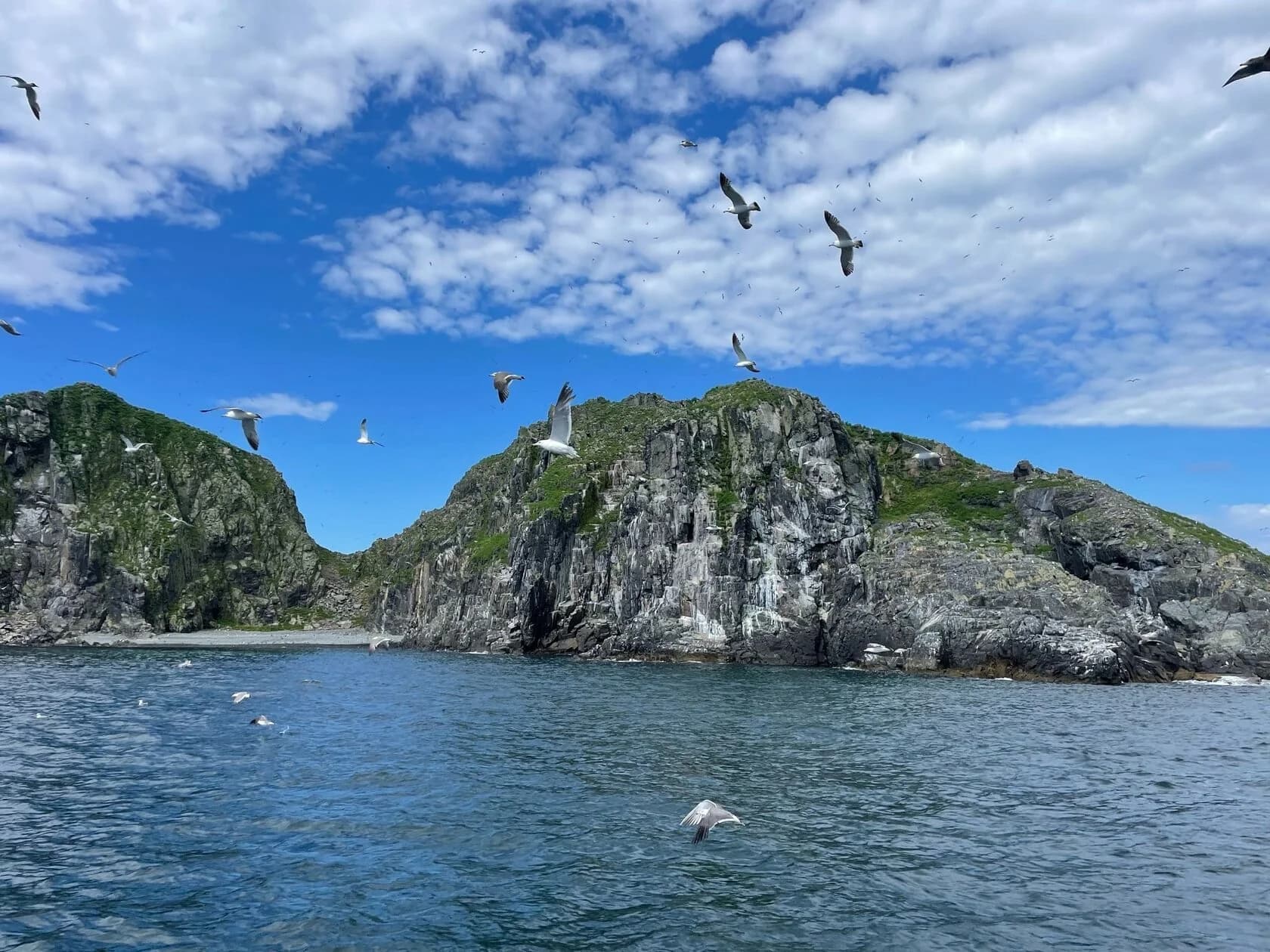 Описание экскурсии