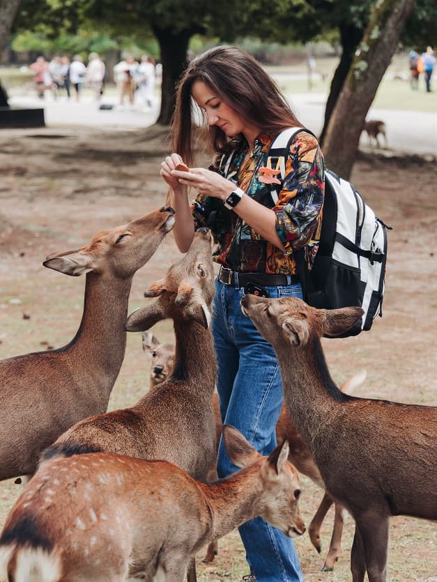 Загадочная Япония - фото 3