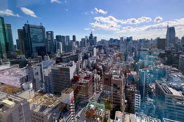 Прилет в Токио