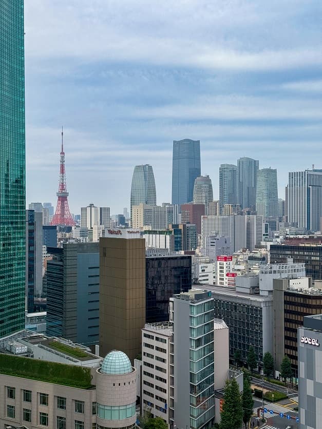 Прилет в Токио