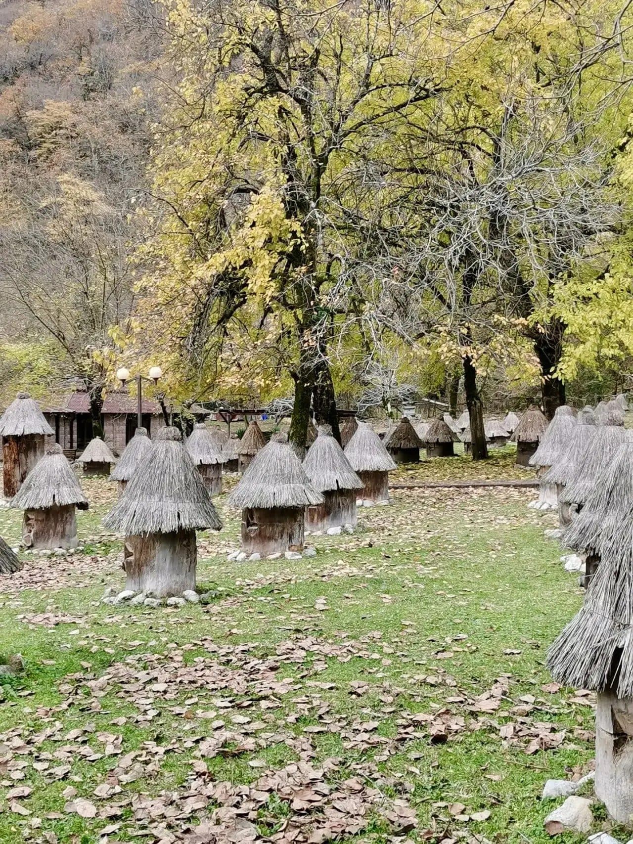 День 1. Гагра, Рица и Лыхны.