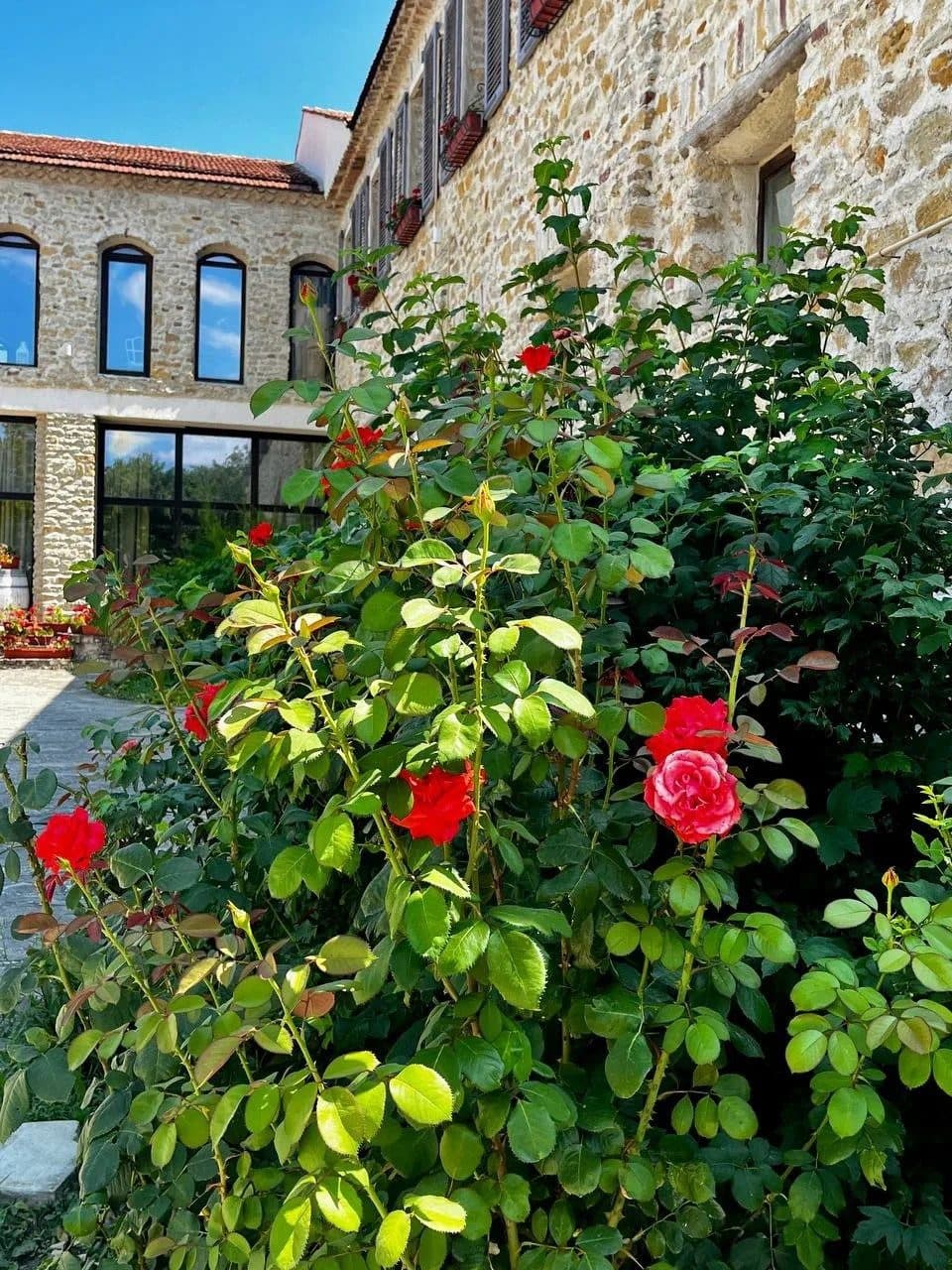 Французский дуэт у моря: Шато Андре и Шато де Талю - фото 8