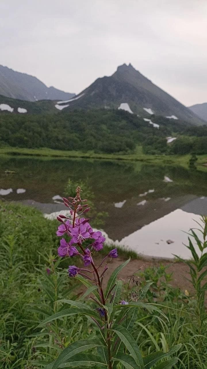 Авторский тур на Камчатку - фото 8