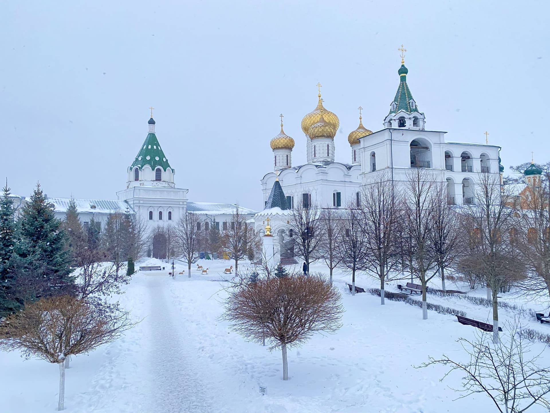 Кострома-Галич-Кологрив. Гусиная столица и мир Ефима Честнякова - фото 4