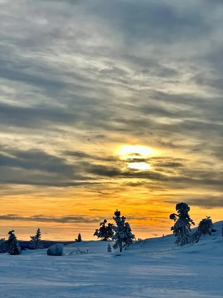 В программе: