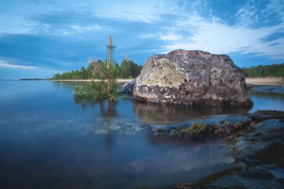 Ладожский берег. Пеший поход с палатками из Санкт-Петербурга - фото 8