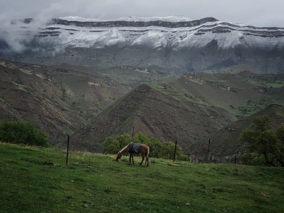 Кавказский антидепрессант. Грозный и лучшее в Дагестане - фото 19