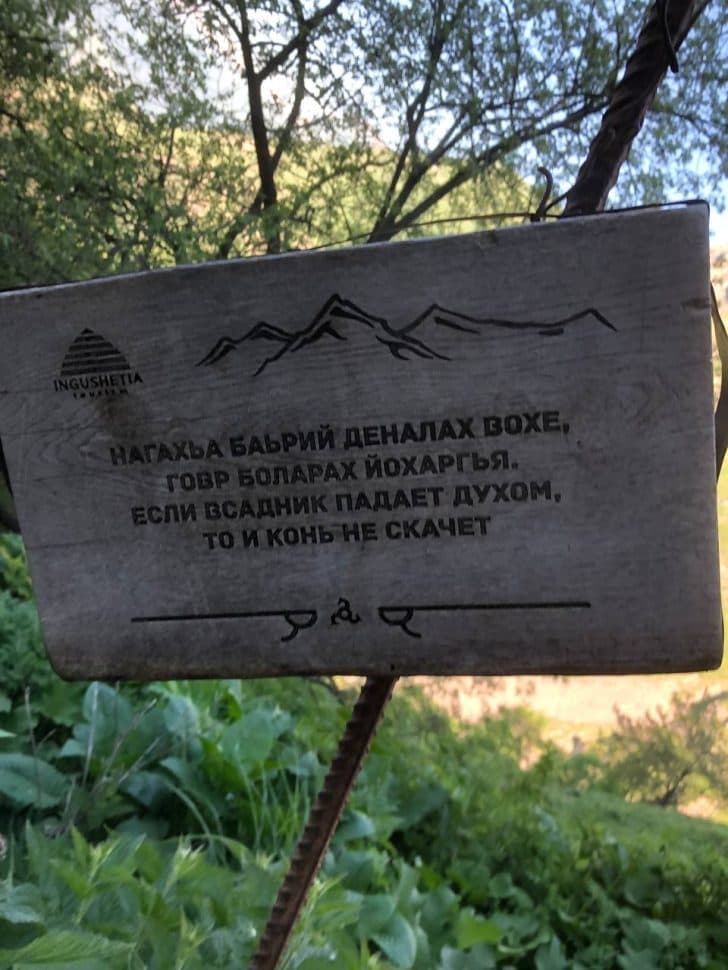 Джип-тур на выходные по горной Ингушетии - фото 8