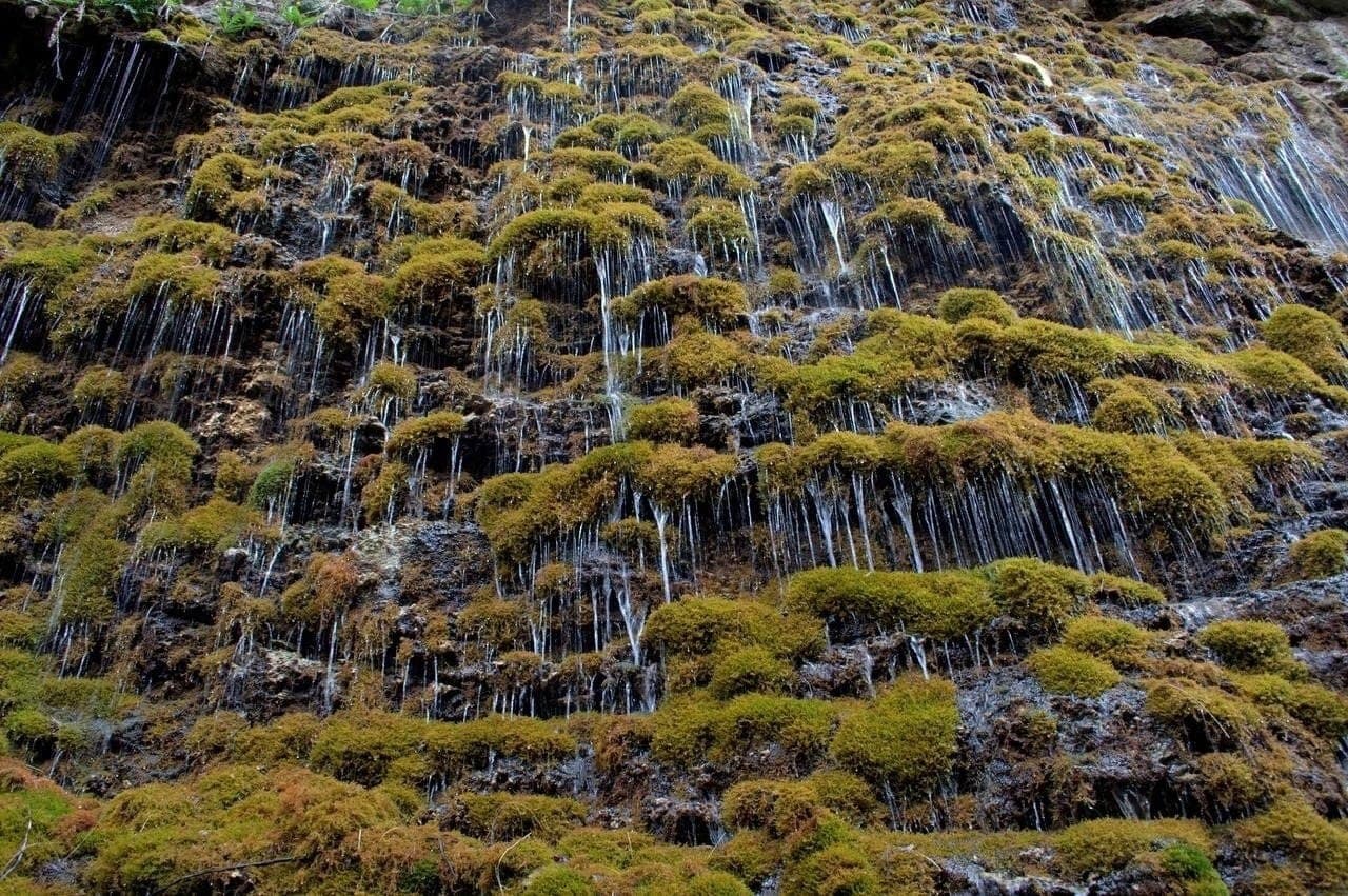 Безенги и Верхняя Балкария (ежедневно) - фото 4