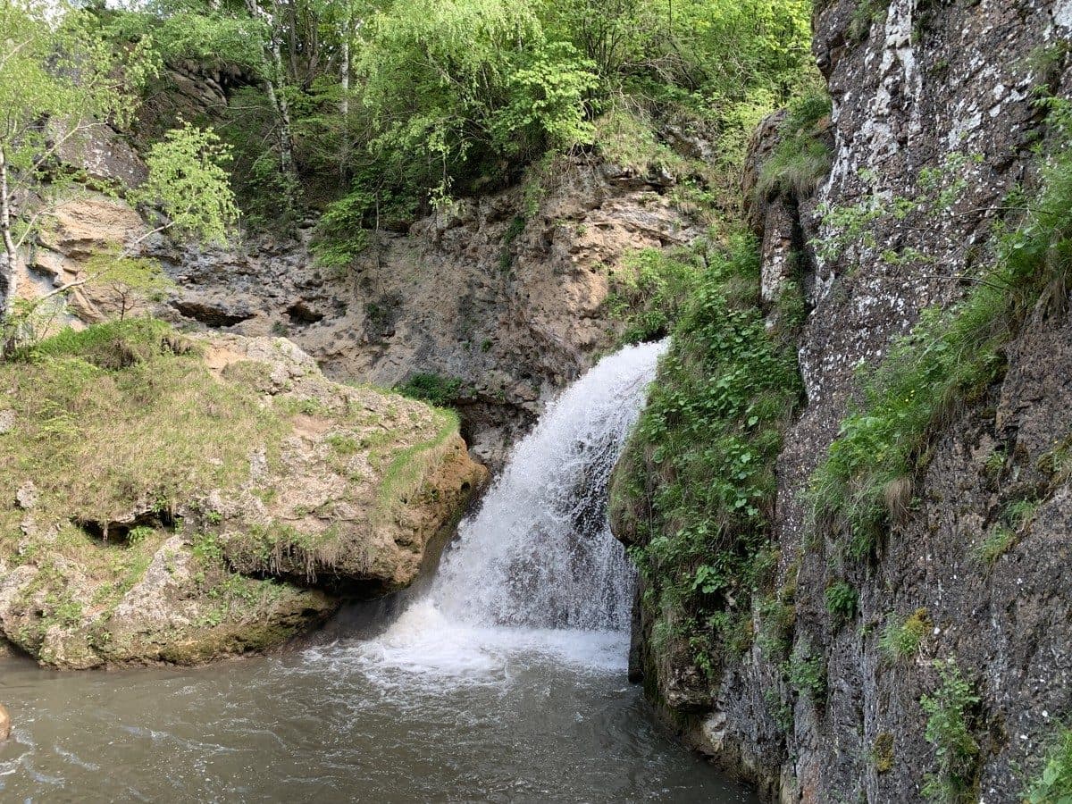 В программу включено: