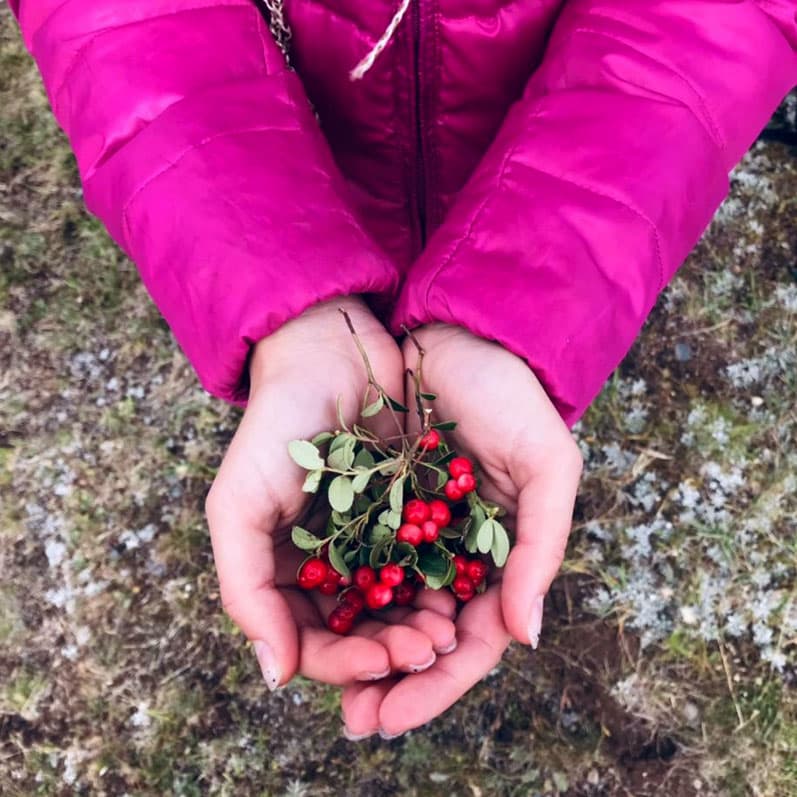 Аланское городище, Лик Христа, лагерь на поляне Таулу.