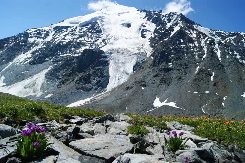 К подножию Белухи: ороктойской тропой, пеший поход - фото 3