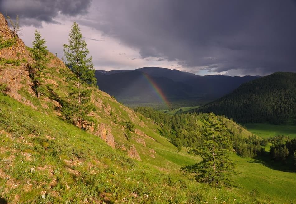 СЕМЬ МГНОВЕНИЙ ЛЕТА
