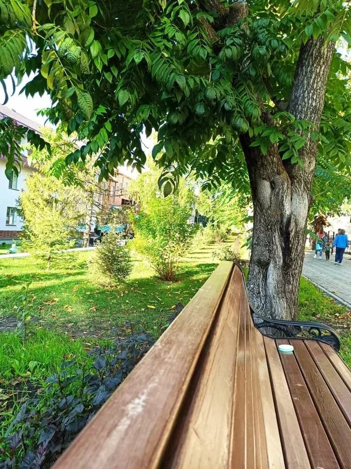 Экскурсия "Вечерняя Белокуриха" (экскурсии в Белокурихе) - фото 8