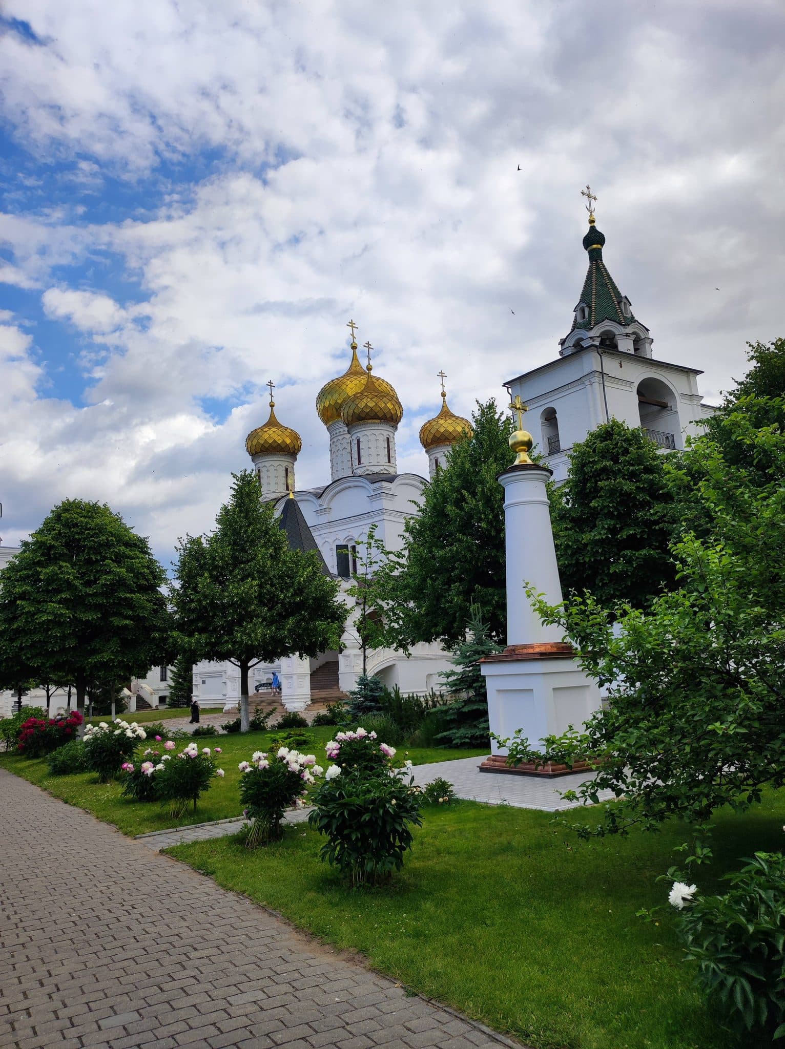 Кострома - еда и ставки