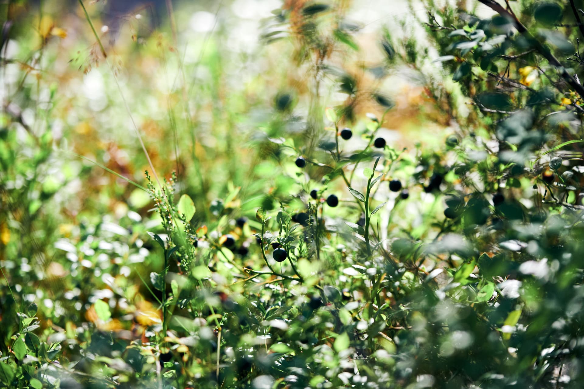 Маленький побег из большого города