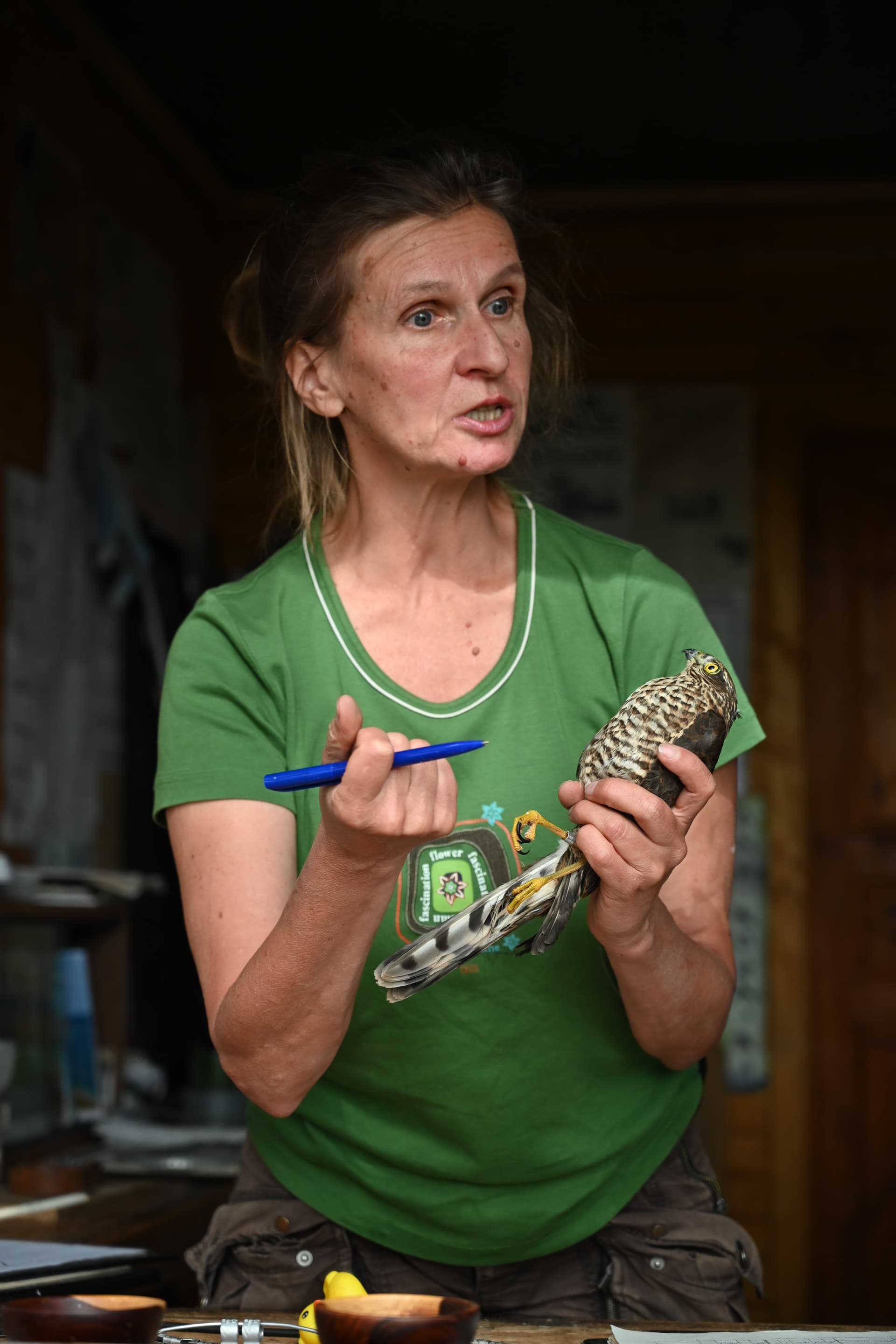 «ДОЛГАЯ ДОРОГА В ДЮНЫ» ЭКСКУРСИЯ НА КУРШСКУЮ КОСУ и в г. Зеленоградск - фото 1