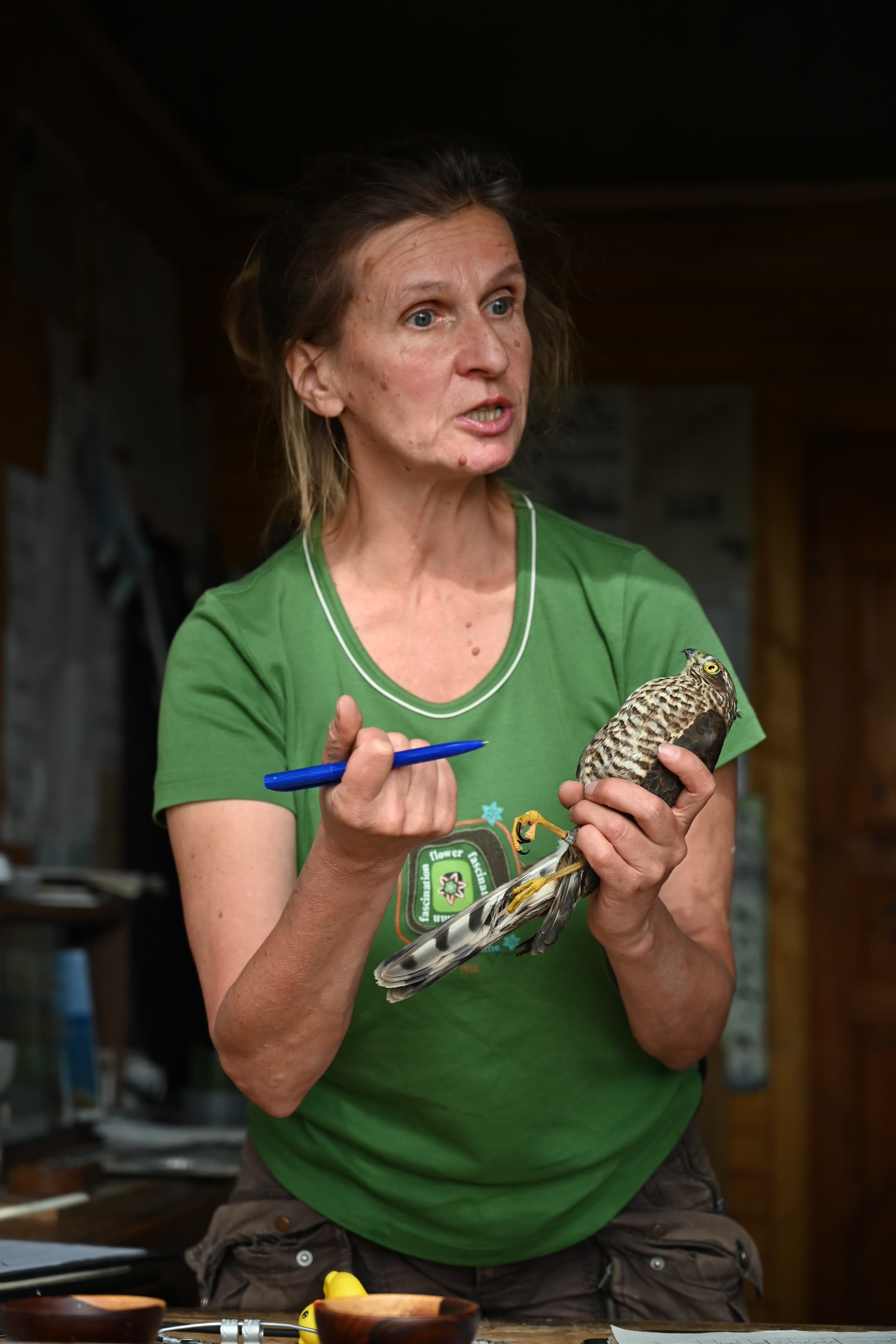«ДОЛГАЯ ДОРОГА В ДЮНЫ» ЭКСКУРСИЯ НА КУРШСКУЮ КОСУ и в г. Зеленоградск - фото 1
