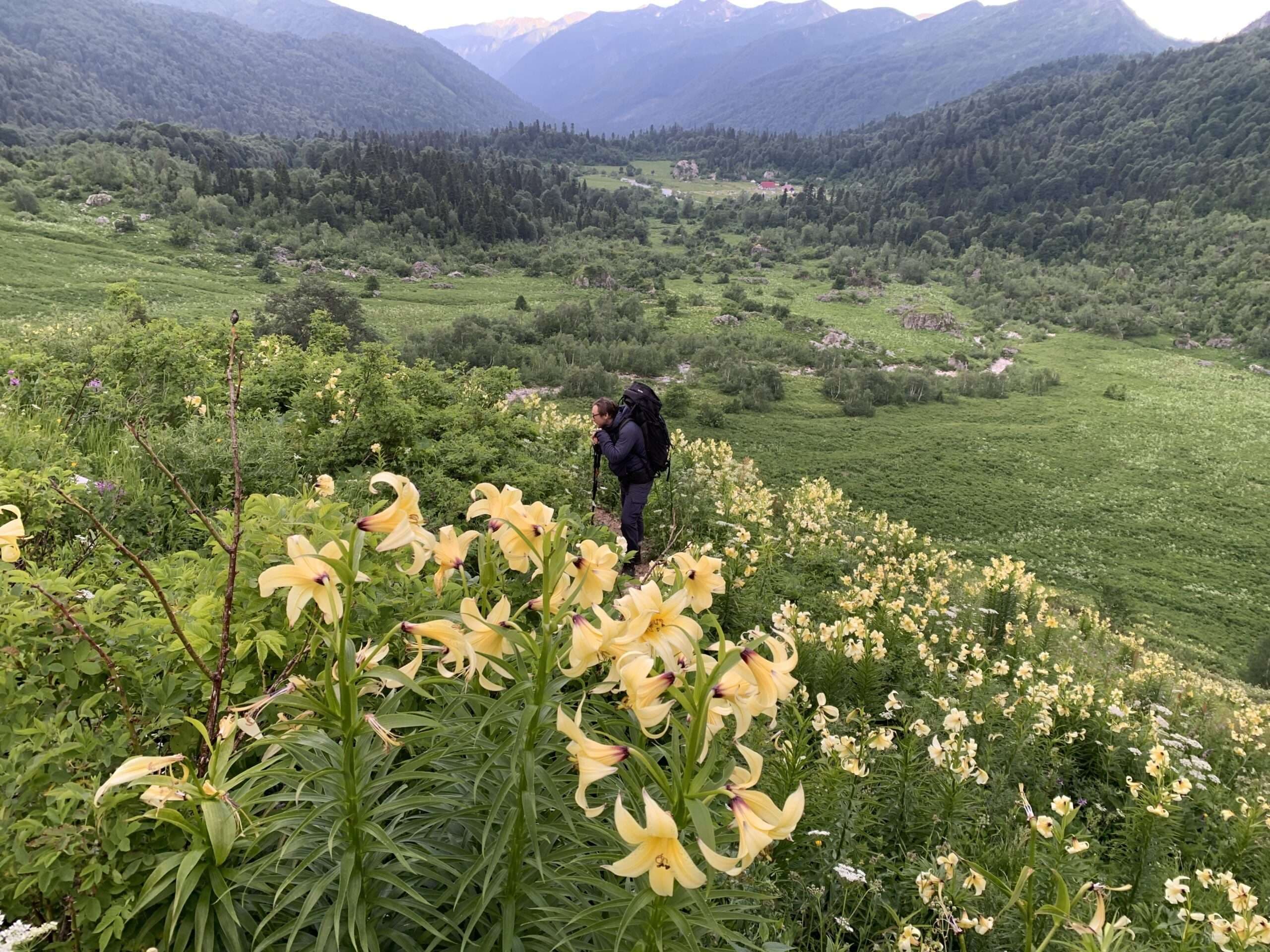 Подход к подножью Фишта