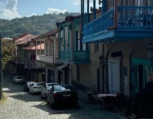 Тур в Грузию, Кахетия, Боржоми 5 дней - фото 9