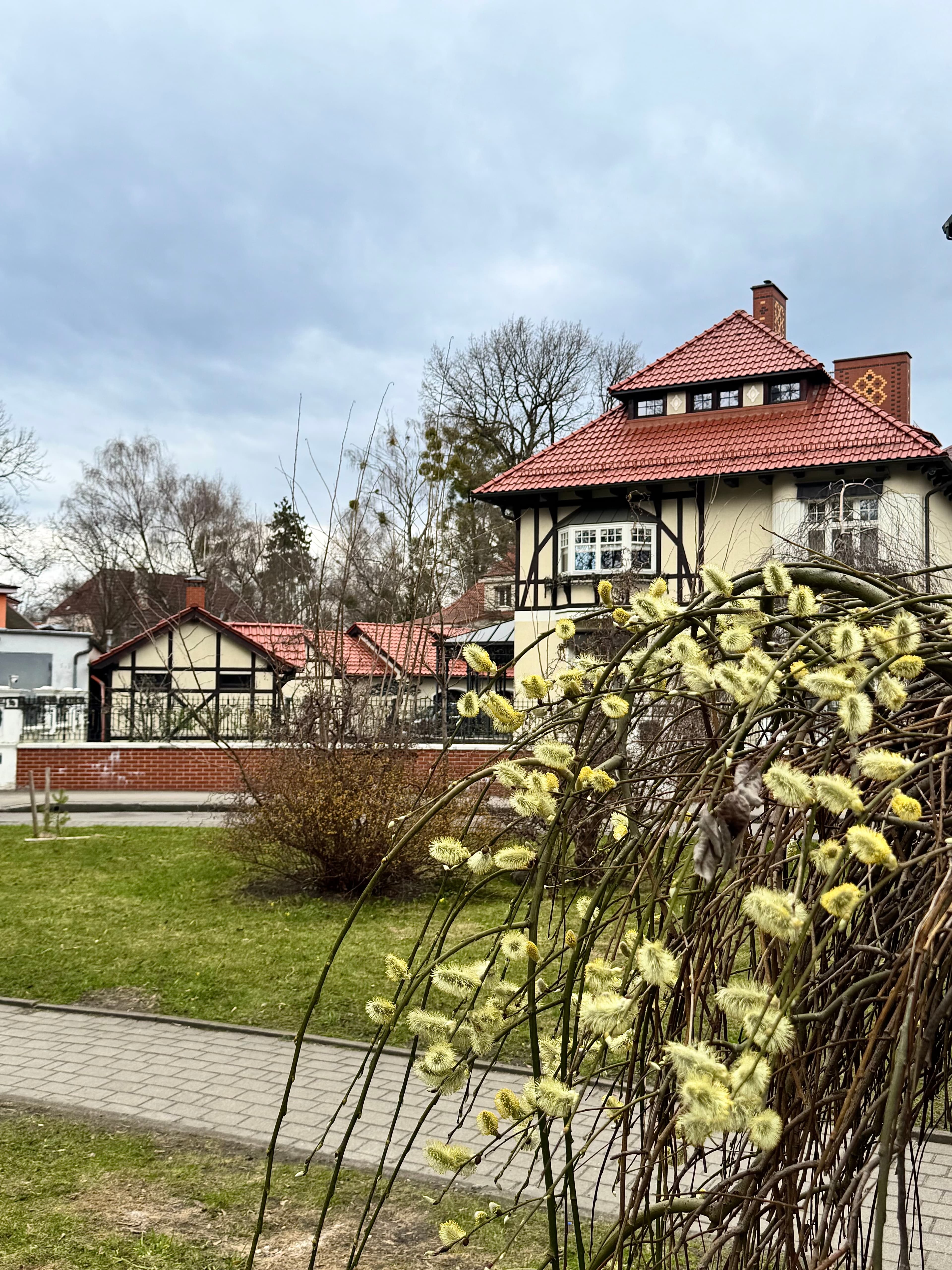 За фасадами Амалиенау: частная жизнь старого Кёнигсберга - фото 4