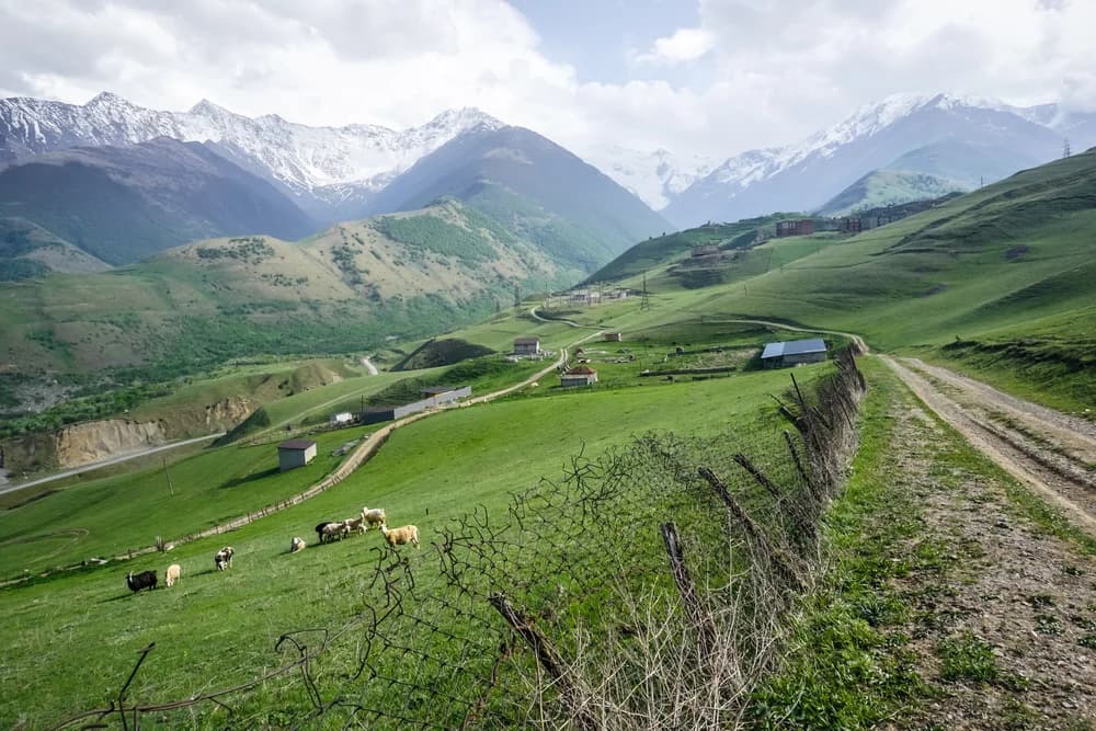 ТУР загадки Северной Осетии 4 дня / 3 ночи - фото 4