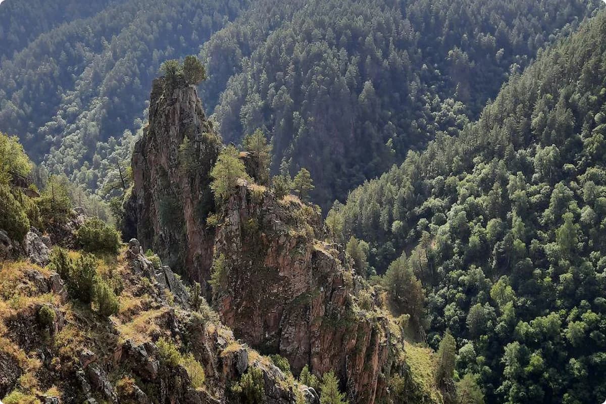 Однодневная экскурсия в Джейрахское ущелье - фото 4