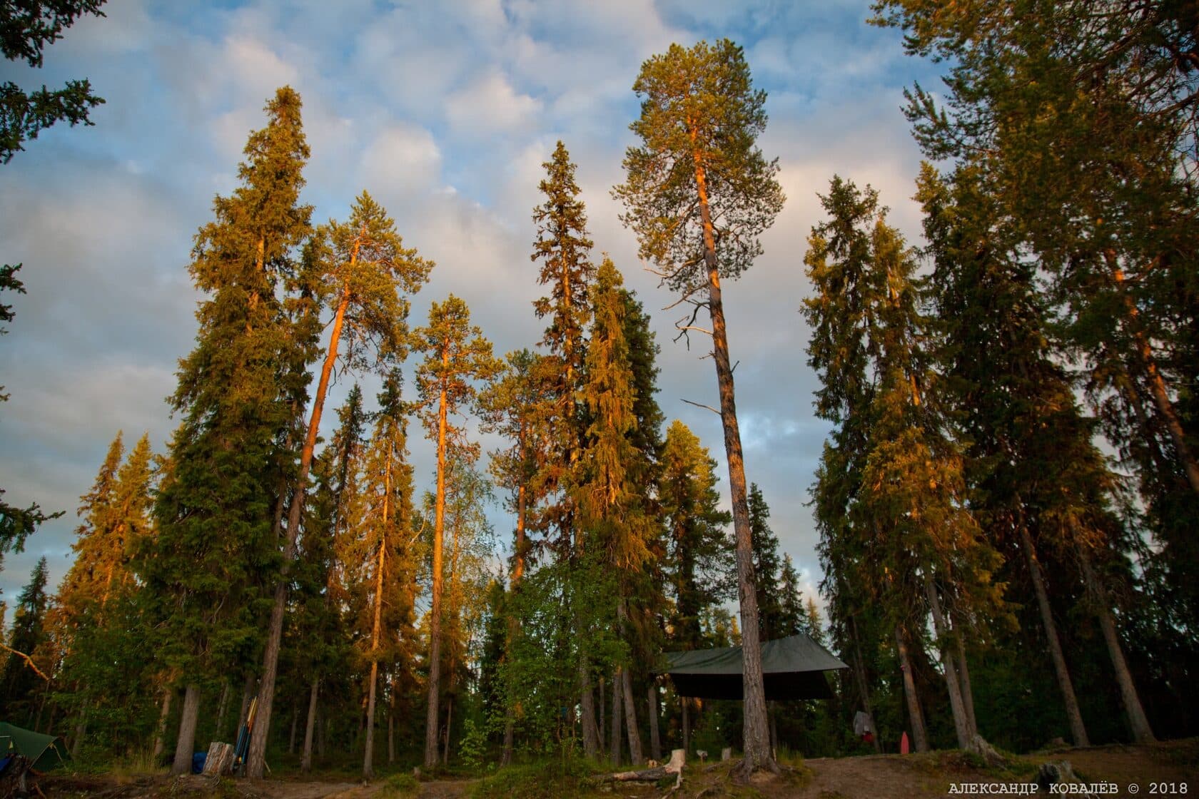 Сплав по реке Тумча на катамаранах и рафтах, 7 дней - фото 5
