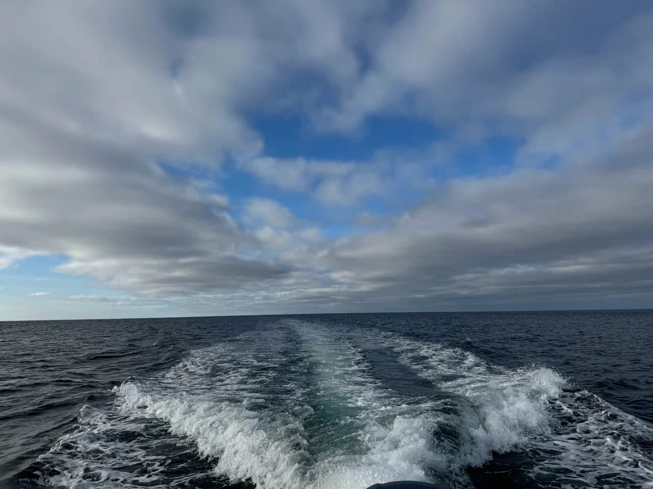 Морская прогулка в Териберке — север, море и настоящие эмоции (3-х часовая прогулка) - фото 10