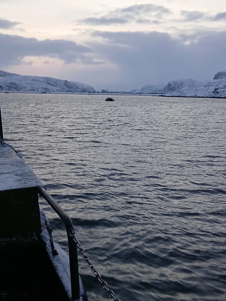 Морская прогулка в Териберке — север, море и настоящие эмоции (3-х часовая прогулка) - фото 7