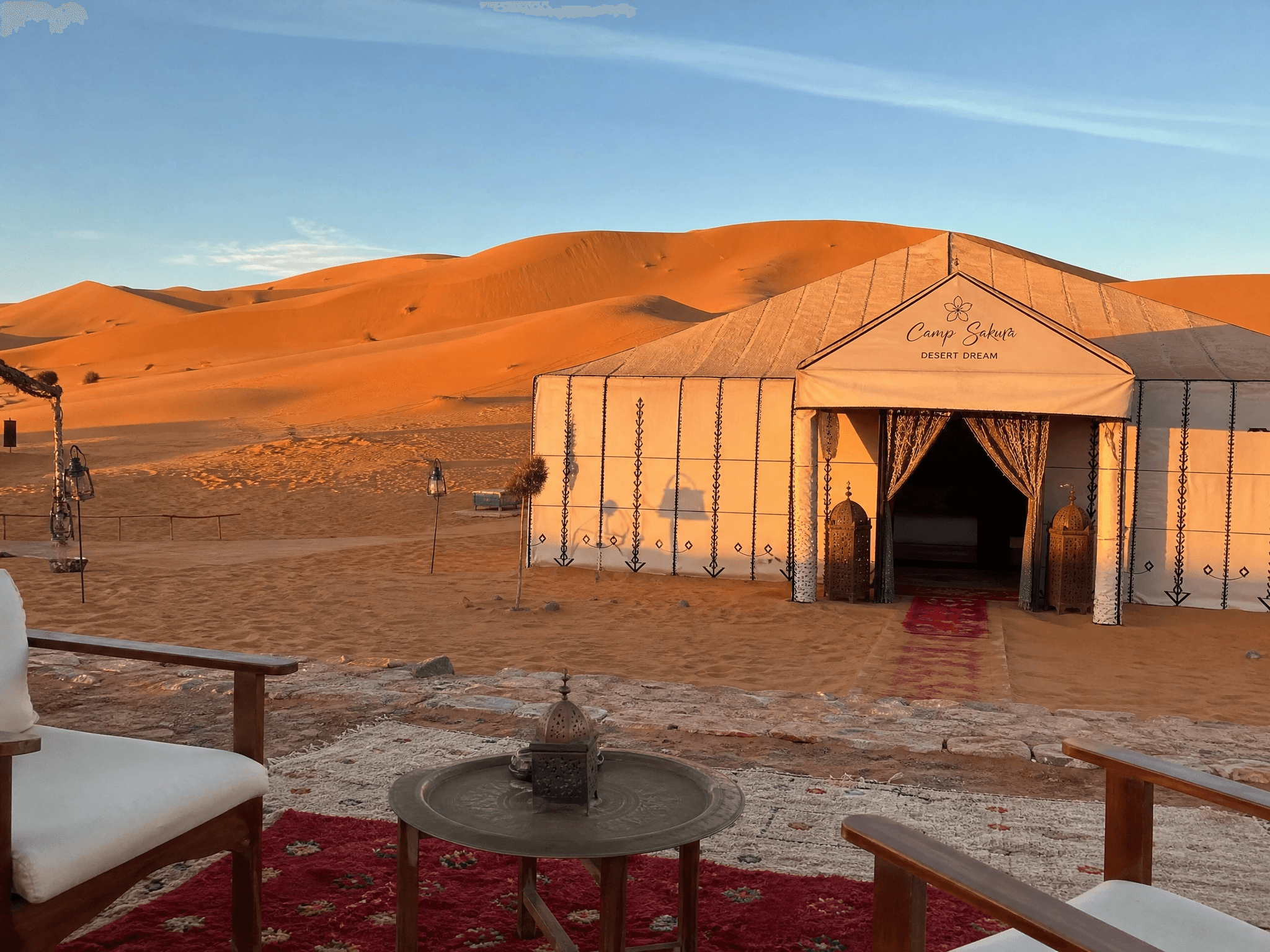 Camp sakura desert dream