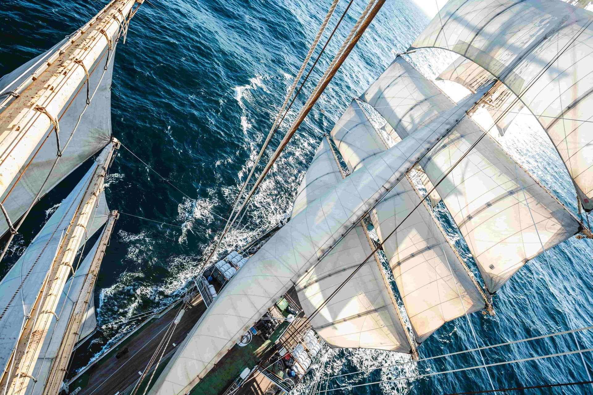 «Надежда»: приморская роза ветров - фото 7