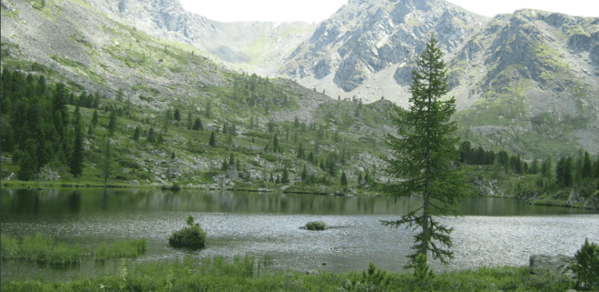 Алтай - место силы ( 8 дней / 7 ночей ) - фото 10