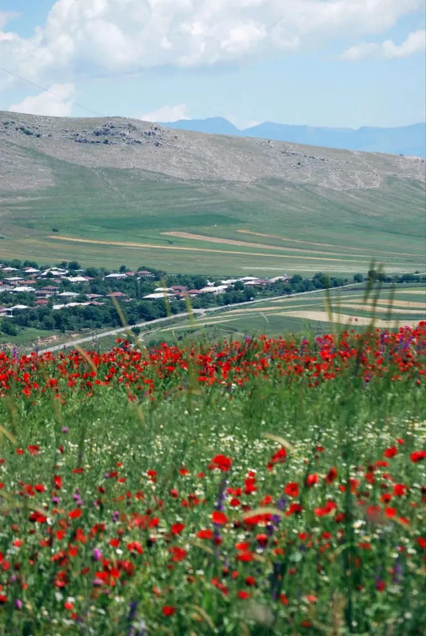 Армения. История, горы, вино - фото 10