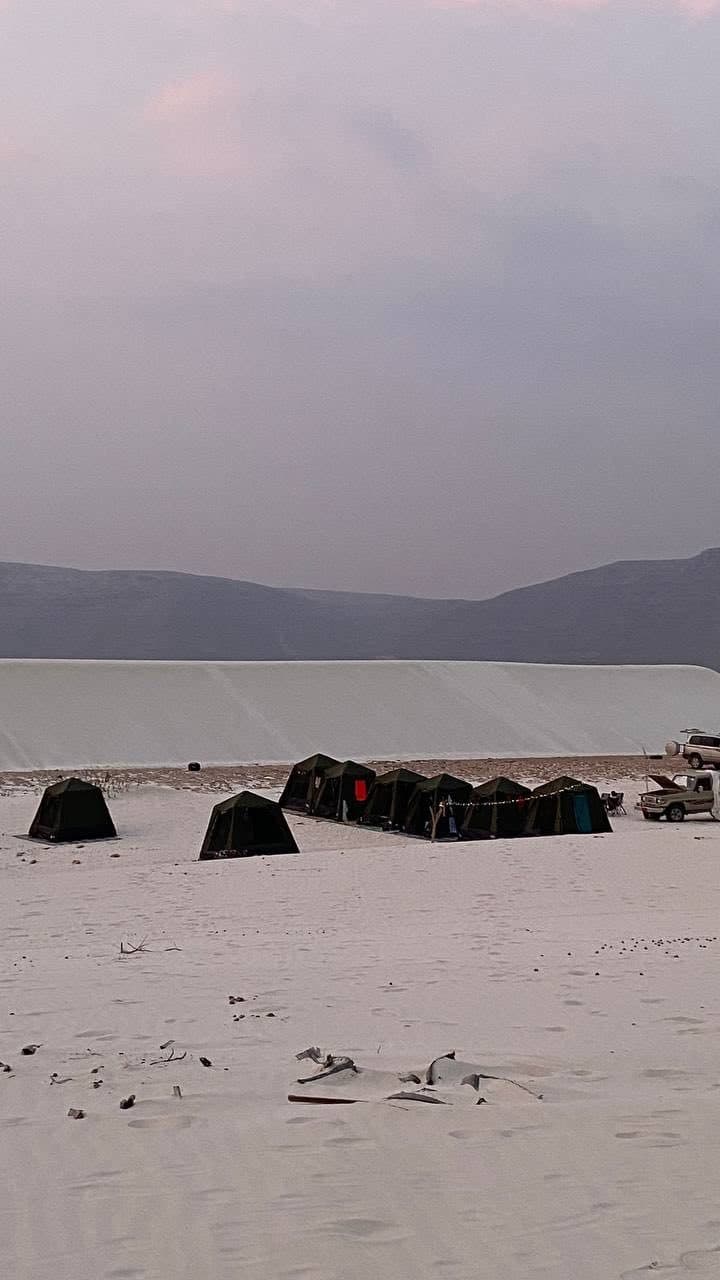 Палатки