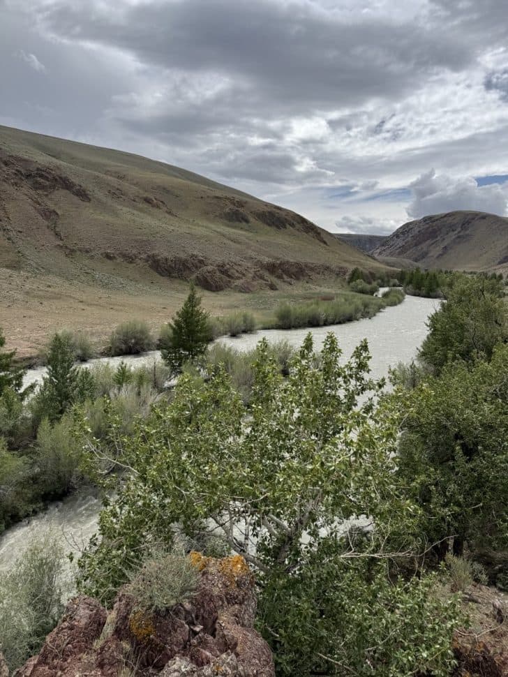 Алтай - фото 10