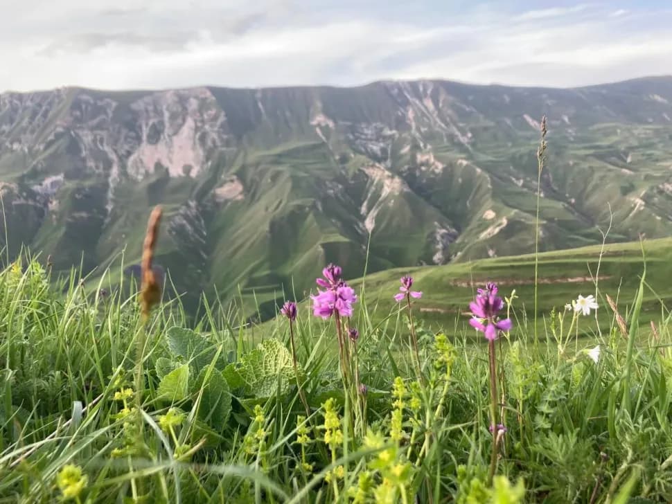 В гости к Дагестанцам. Колоритный тур с комфортом. - фото 22