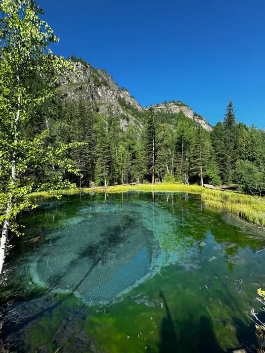 Загадочный Алтай: Укок и Карагемский прорыв - фото 7