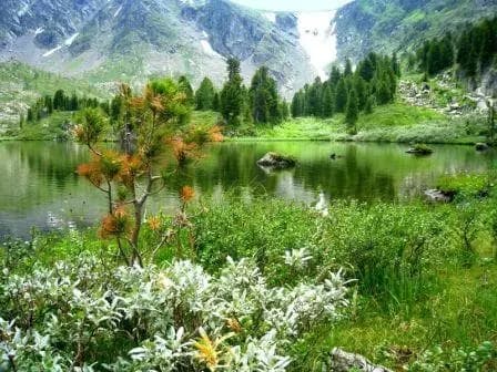 Каракольские озёра. Джип тур (экскурсия для баз в районе с. Манжерок) - фото 5