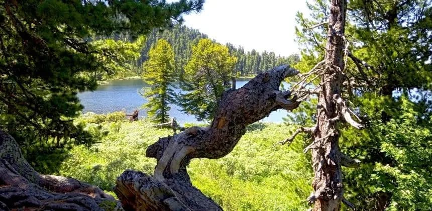 Каракольские озёра. Джип тур (экскурсия для баз в районе с. Манжерок) - фото 3