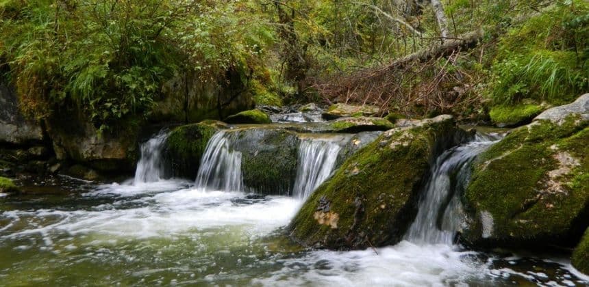 Активная экскурсия - Шинокские водопады (экскурсии в Белокурихе) - фото 3