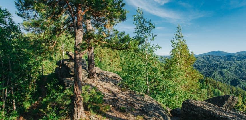 Места Силы Белокурихи (экскурсии в Белокурихе) - фото 4