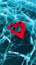 Александр Д.