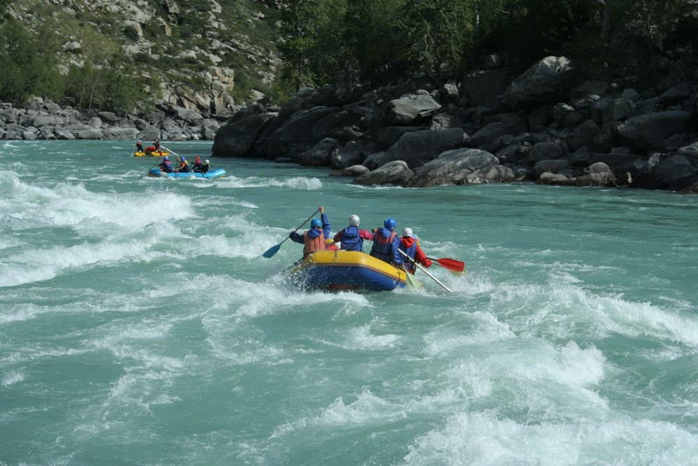 Весна на Алтае. Цветущие горы. - фото 5