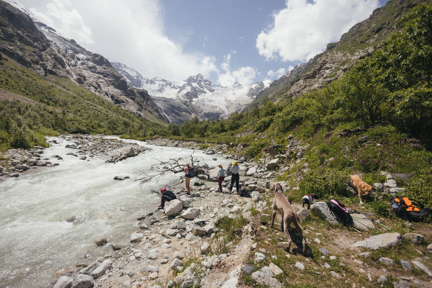 Северная Осетия с собакой - фото 4