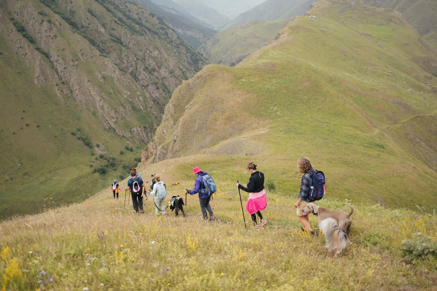 Северная Осетия с собакой - фото 8